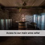 Vineyard Skatlar 3 Otočec