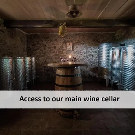 Vineyard Skatlar 3 Otočec