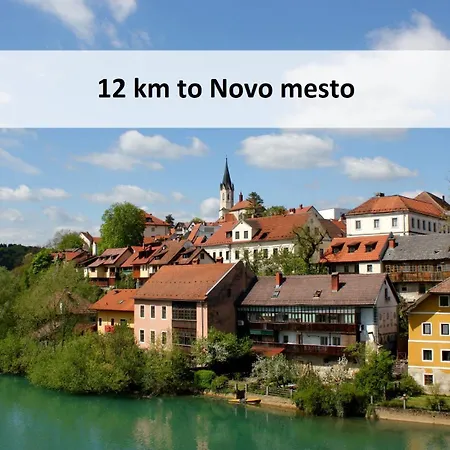 Dom wakacyjny Vineyard Skatlar 3