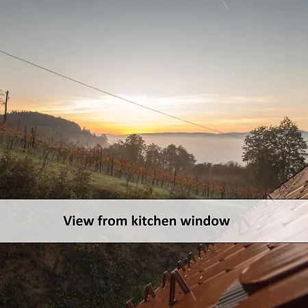 Dom wakacyjny Vineyard Skatlar 3 *