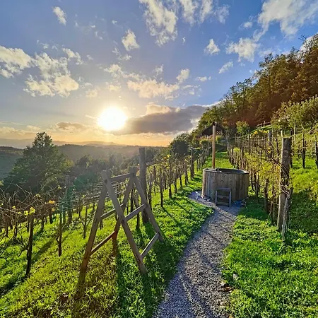 Vineyard Skatlar 3 Holiday home