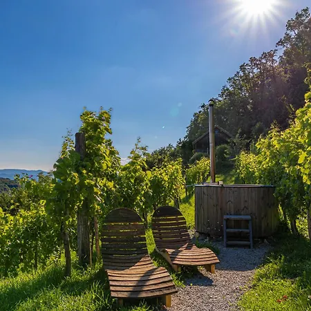 Vineyard Skatlar 3 Holiday home Otocec