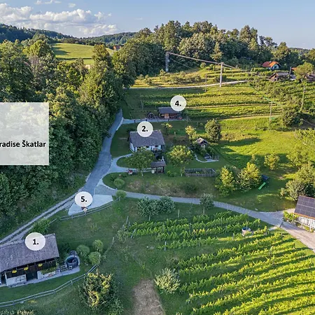 Vineyard Skatlar 3 *