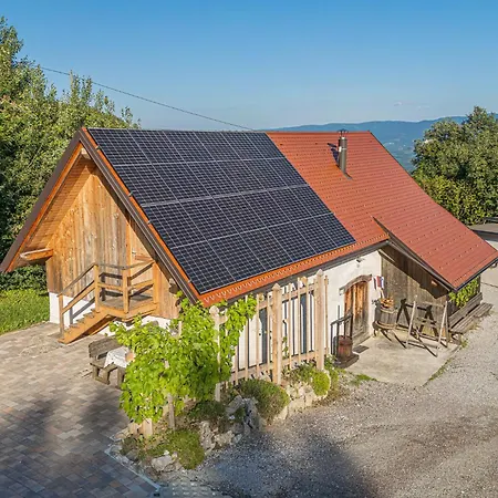 Vineyard Skatlar 3 Otocec