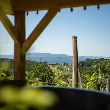 Dom wakacyjny Vineyard Skatlar 3 Otočec