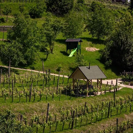 Vineyard Skatlar 3 Otočec