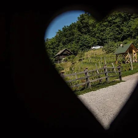 Prázdninový dům Vineyard Skatlar 3