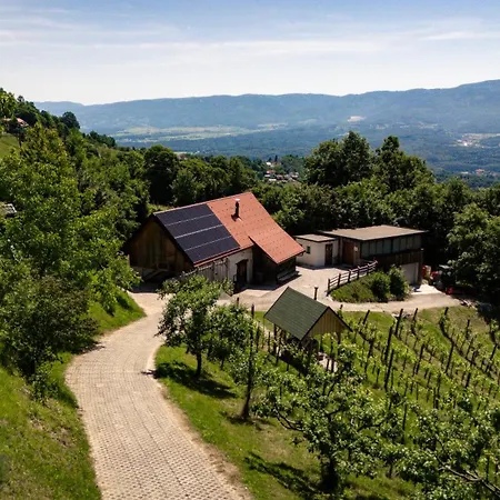 Prázdninový dům Vineyard Skatlar 3 *