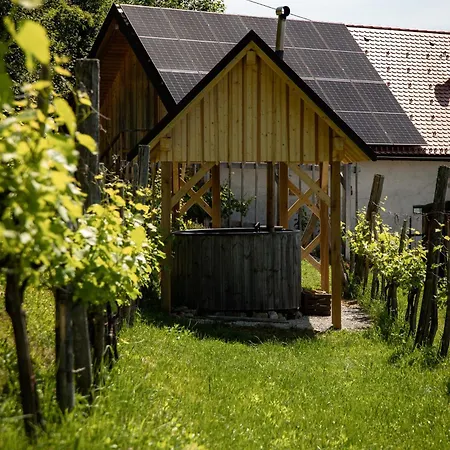 Vineyard Skatlar 3 Otočec