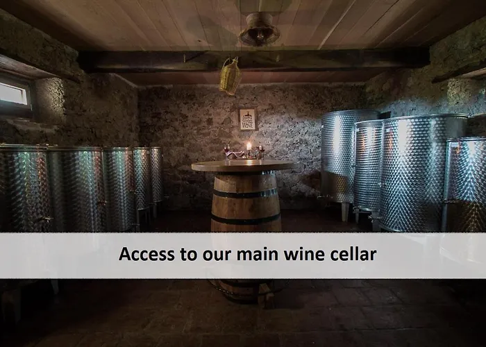 Vineyard Skatlar 3 Otočec