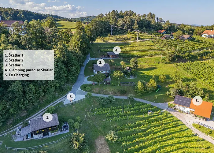 Vineyard Skatlar 3 *