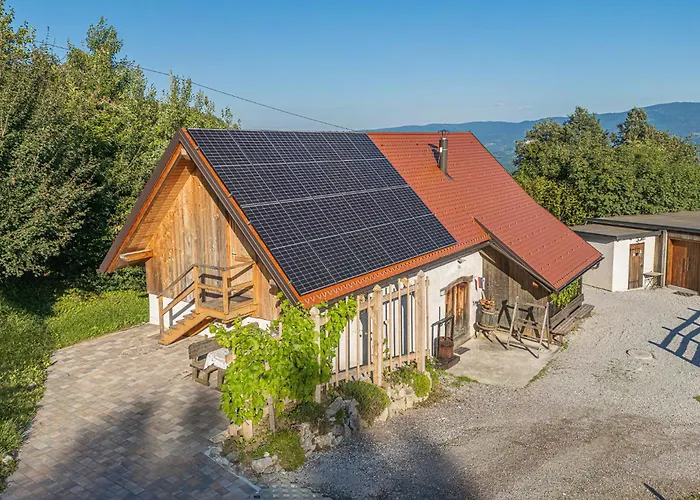 Vineyard Skatlar 3 Otočec