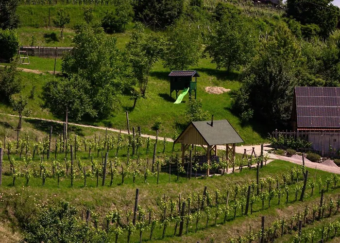 Vineyard Skatlar 3 Otočec