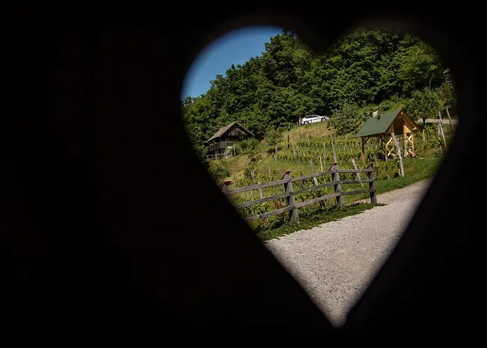 Ferienhaus Vineyard Skatlar 3