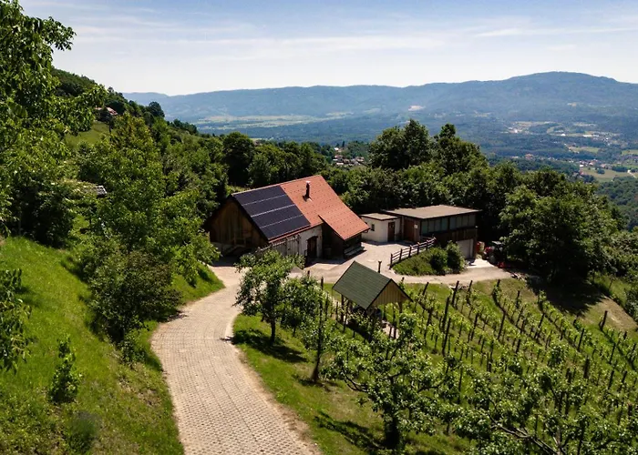 Ferienhaus Vineyard Skatlar 3 *