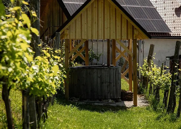 Vineyard Skatlar 3 Otočec