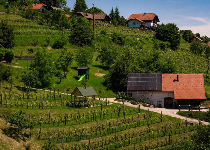 Vineyard Skatlar 3 Ferienhaus *